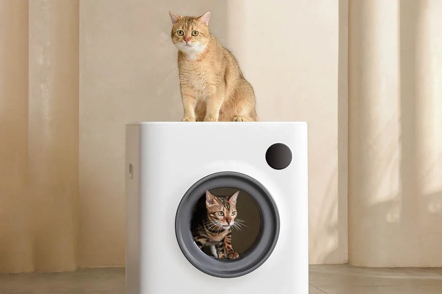 cat litter that cleans itself
