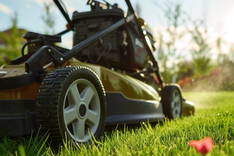 what is the best lawn mower